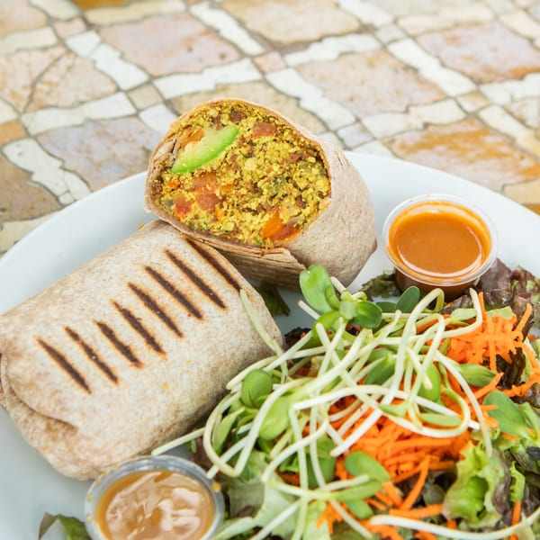 A grilled breakfast burrito with avocado and a side salad with sprouts and shredded carrots.