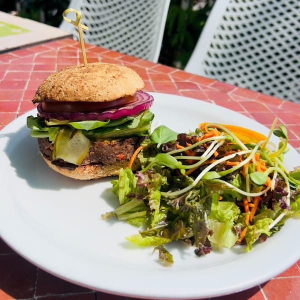 A Juicy Ladies healthy veggie burger with pickles, onion, and tomato, served with a side salad.